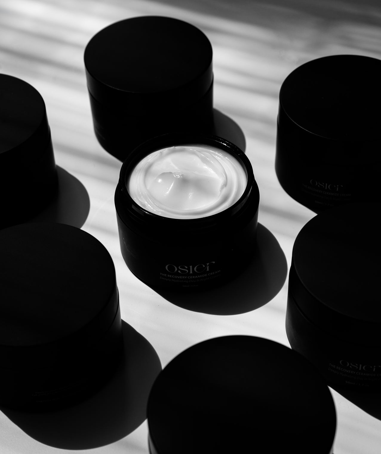 The Recovery Ceramide Cream Deeply Hydrating Day & Night Cream